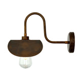 Hali Swan Neck Wall Light