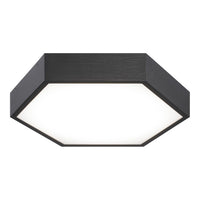 Hexol Flush Mount 13 Inch Oxidized Black
