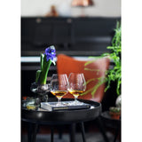 Holmegaard Cabernet Brandy Glasses lifestyle 1