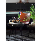 Holmegaard Cabernet Brandy Glasses lifestyle 2