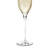 Holmegaard Cabernet Champagne Glasses