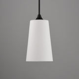 Hudson Pendant Black by Maxim Lighting