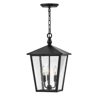 Huntersfield Medium Hanging Lantern - Black - by Hinkley