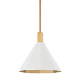 Huntley Pendant - Medium - Patina Brass with Soft White by Troy Lighting