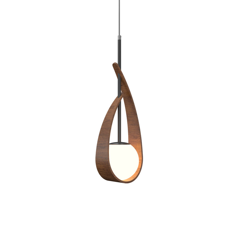 Imbuia Oyster Pendant Light by Accord