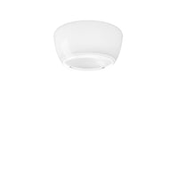 Implode PL 50 Ceiling Light