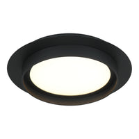 Iris Ceiling Mount 12 Inch Matte Black