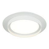 Iris Ceiling Mount 12 Inch Matte White