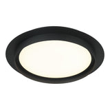 Iris Ceiling Mount 16 Inch Matte Black
