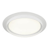 Iris Ceiling Mount 16 Inch Matte White