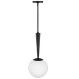 Izzy Pendant Light Black By Lark Living- Front View 