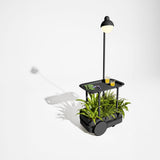 Jolly Trolley Lighted Bar Cart - Anthracite, planted as a potting cart