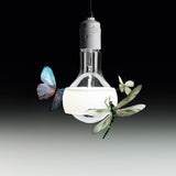 Johnny B. Butterfly Pendant by Ingo Maurer