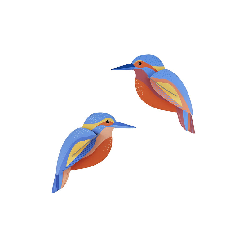 Kingfishers Wall Art