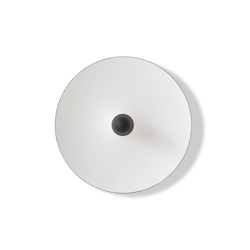 Kantarell Wall & Ceiling Light Black by New Works
