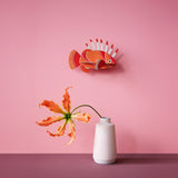 Lionfish Wall Art, styled in an interior