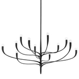 Labra Chandelier - 12-Light - Aged Iron by Hudson Valley