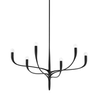 Labra Chandelier - 6-Light - Aged Iron by Hudson Valley