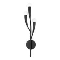 Labra Wall Sconce - Aged Iron by Hudson Valley
