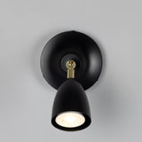 Lainio Wall Light - Polished Brass / Matte black shade