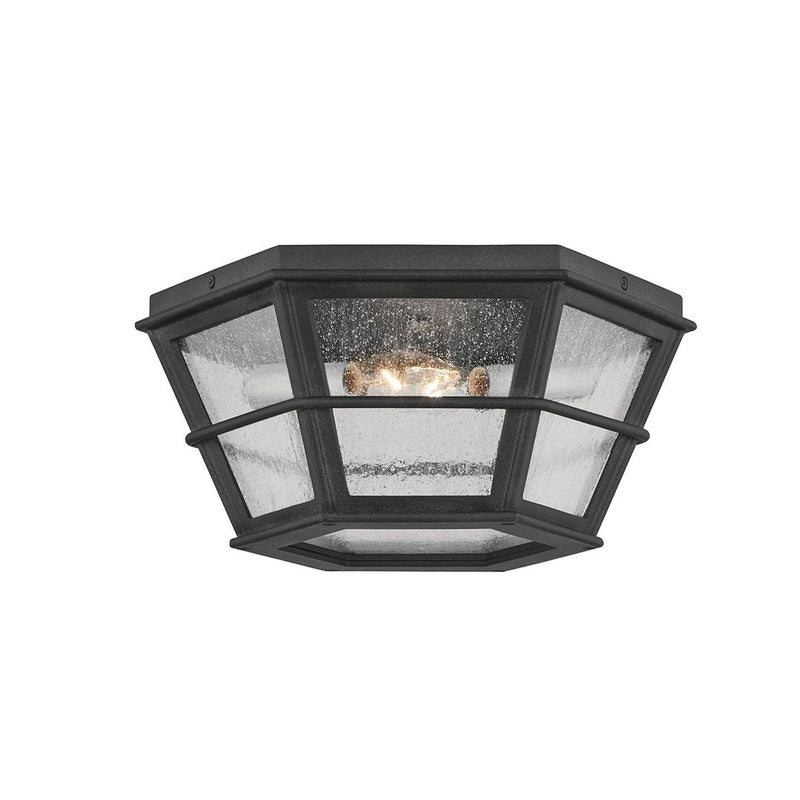 Lake County Flush Mount by Troy Lighting