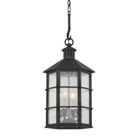 Lake County Lantern by Troy Lighting