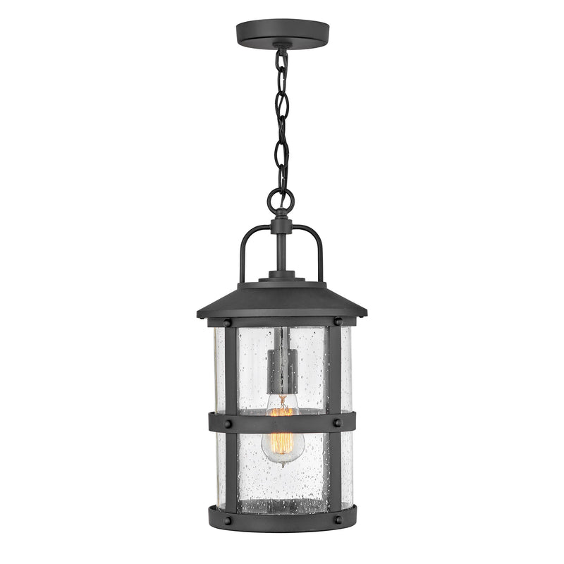Lakehouse Medium Hanging Lantern - Black - by Hinkley