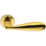 Lara Door Lever in HPS Zirconium Gold by Colombo Design