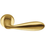 Lara Door Lever in Satin Gold by Colombo Design