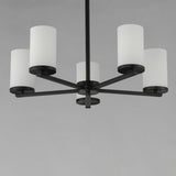 Lateral Chandelier Black by Maxim Lighting
