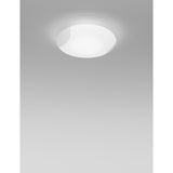 Lio Wall/Ceiling Light