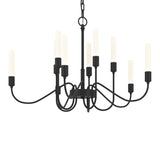 Lisse Chandelier 10 Light in Black by Hubbardton Forge