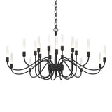 Lisse Chandelier 20 Light in Black by Hubbardton Forge