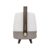 Lite-Up Play Mini JBL Battery Table Lamp - Earth, side view with handle