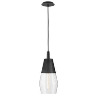 Livie Small Single Light Convertible Pendant