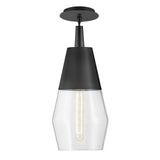 Livie Small Single Light Convertible Pendant