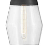 Livie Small Single Light Convertible Pendant