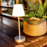 Lola Slim Portable Table Lamp - Brass, beside a planter
