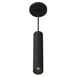 Lorna 12-Inch Pendant Light — Black / 2 Inch