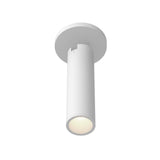 Lorna Adjustable Ceiling Mount — 9 Inch (2 Inch Dia.), White