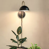 Lou Medium Single Light Sconce