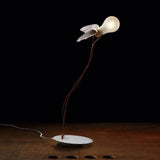 Lucellino Touch Table Lamp