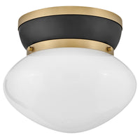 Lucy Flush Mount Black By Lark Living