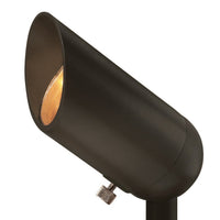 Accent Spot Light 120V