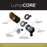Accent Spot Light 120V