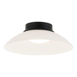 Luna Flush Mount 12 Inch Matte Black Frosted