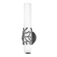 Lyra Medium LED Sconce - Black - by Hinkley