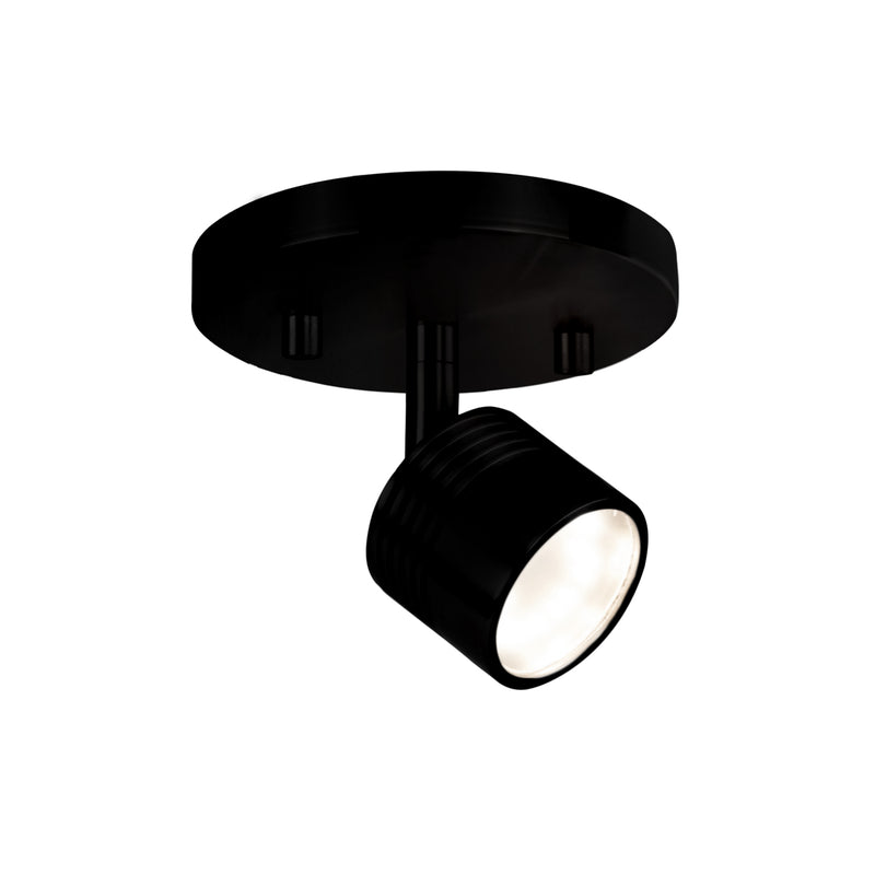 Lyra Track Lights — 6 Inch, Black