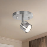 Lyra Track Lights — Track Lights