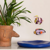 Marine Angelfish Wall Art, styled in an interior